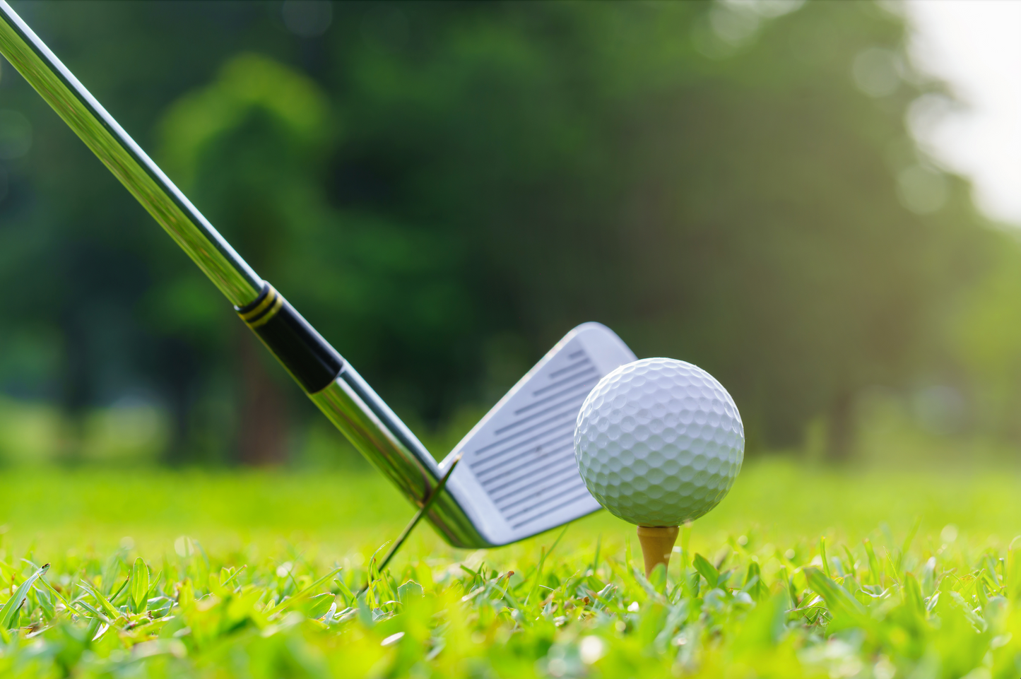 GOLFWELL Kit